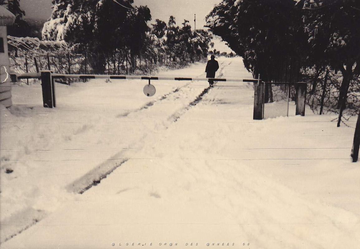 1958 A 60 TELAGH CRAMPEL AIN TIDAMINE  (2).JPG